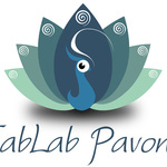 Fablab pavone4x3 mail
